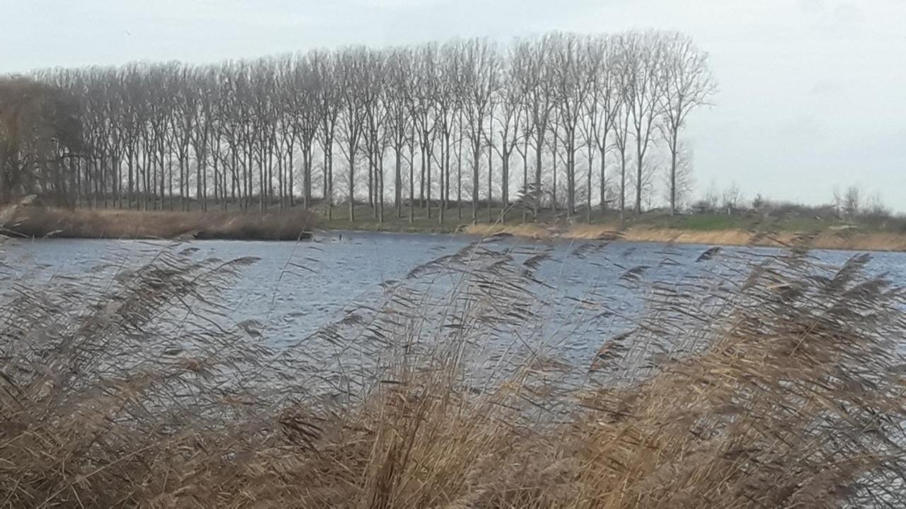 B&B De Hemelse Polder Sint-Laureins Exterior foto